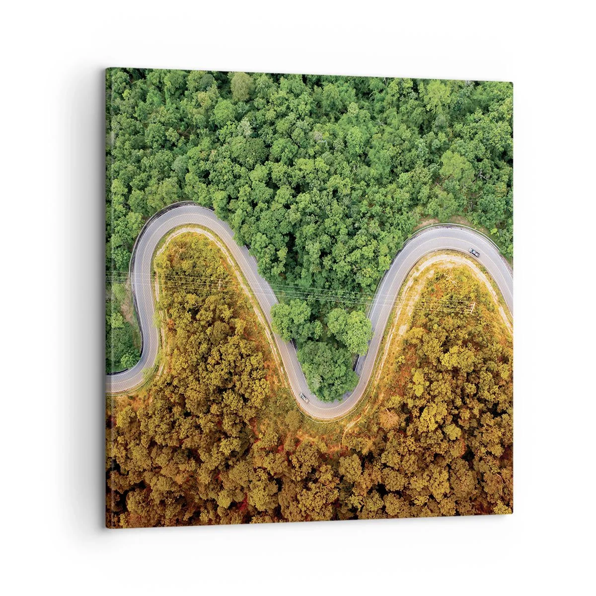 Obraz na plátne - Hranice a prelomy - 60x60 cm