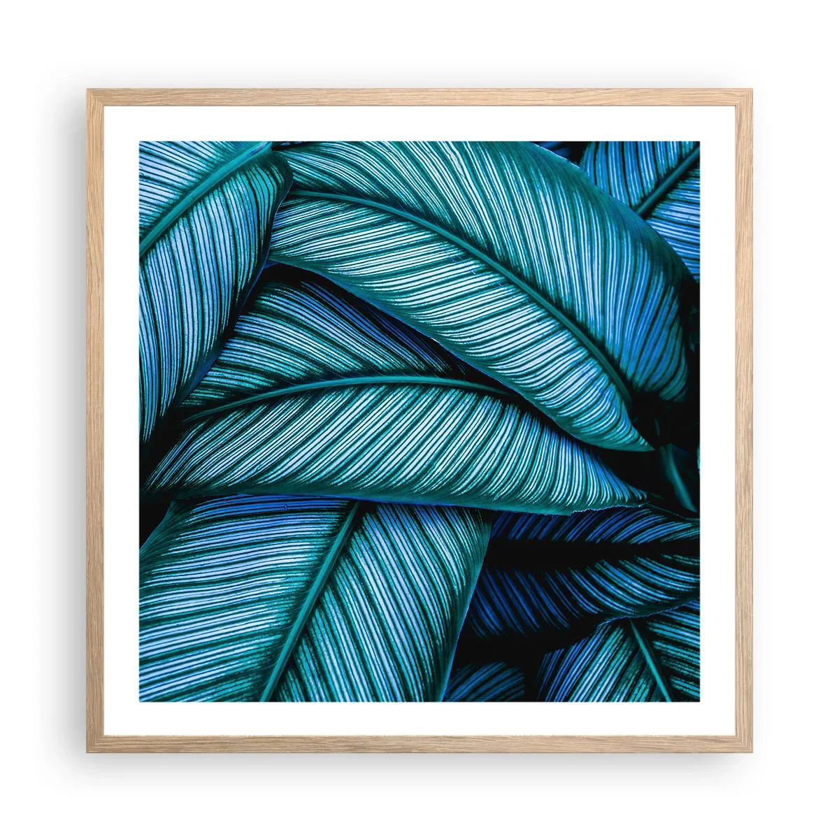 Plagát v ráme zo svetlého duba - Čiary života - 60x60 cm