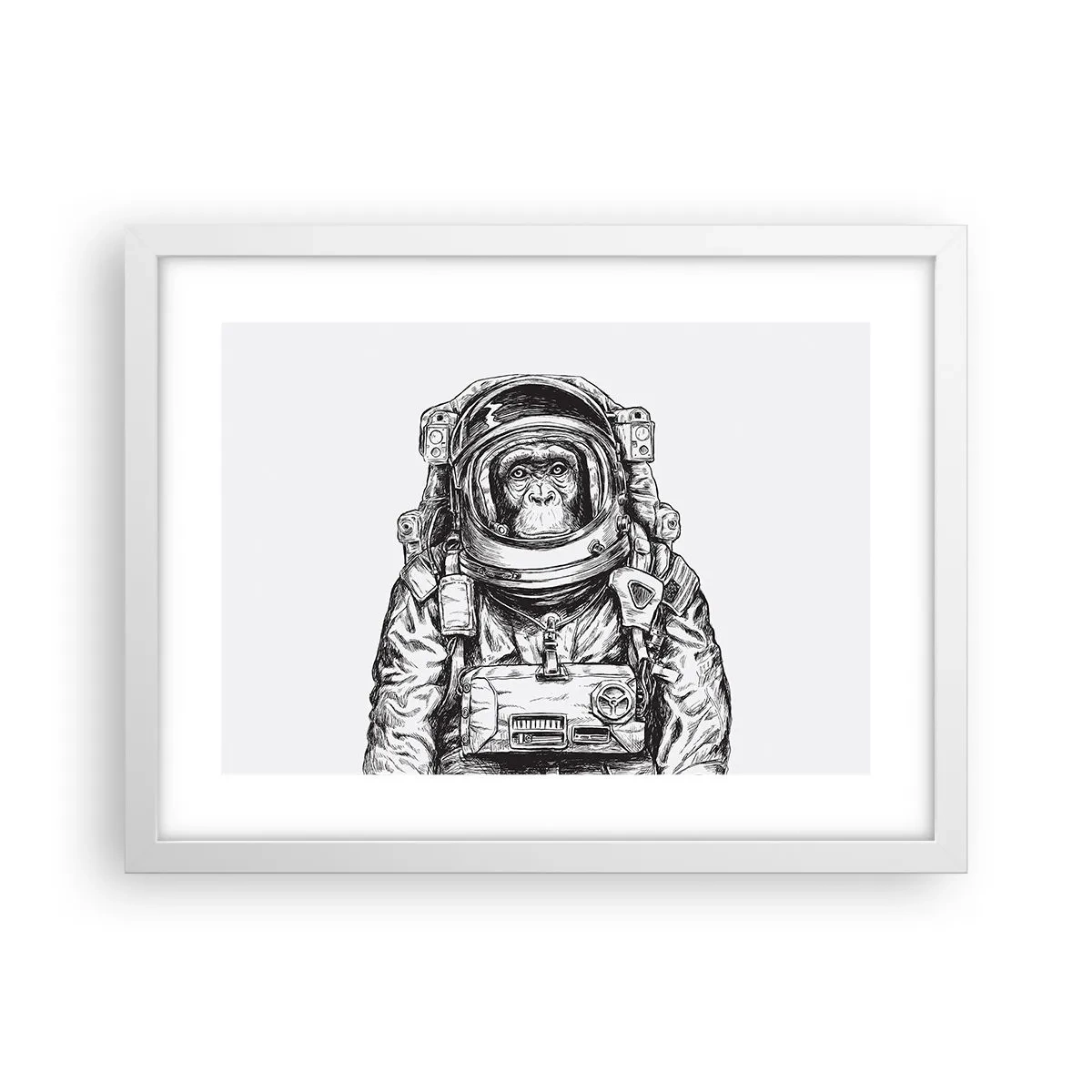 Plagát v bielom ráme - Alternatívny vývoj - 40x30 cm