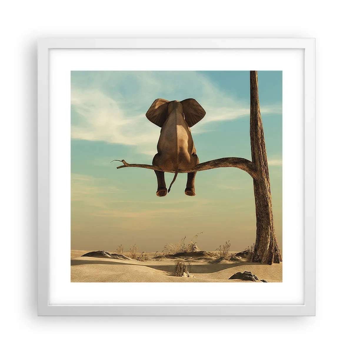 Plagát v bielom ráme - Nový uhol pohľadu - 40x40 cm