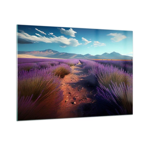 Obraz na skle - Voňavé polia - 100x70 cm