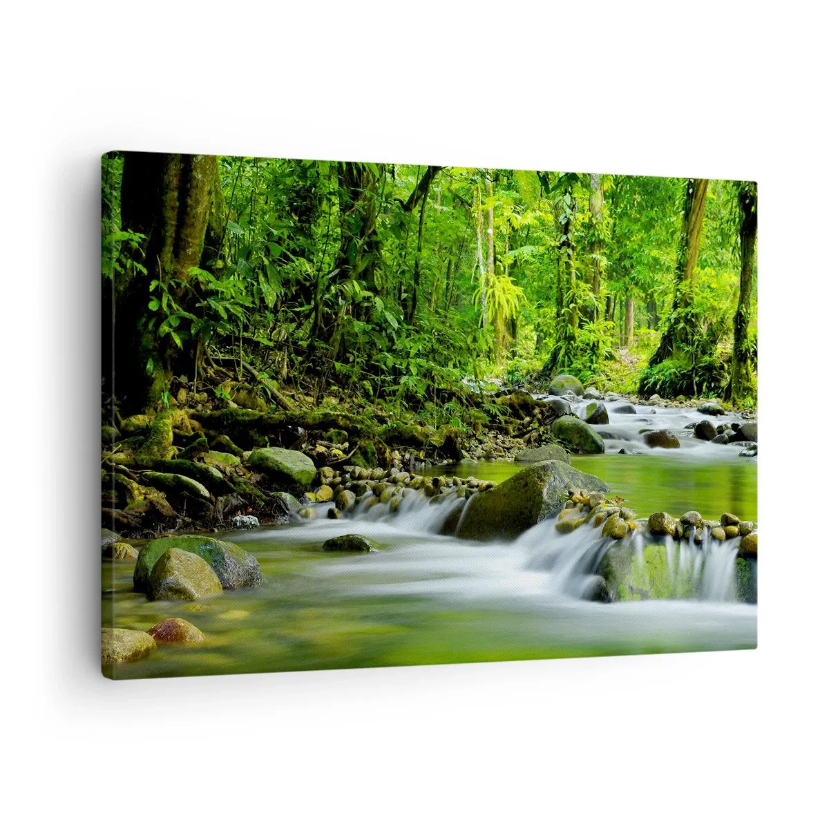 Obraz na plátne - Potok v bujnom tropickom lese - 70x50cm - Plávať morom zelene - Moderná nástenná dekorácia do obývacej izby a spálne ARTTOR
