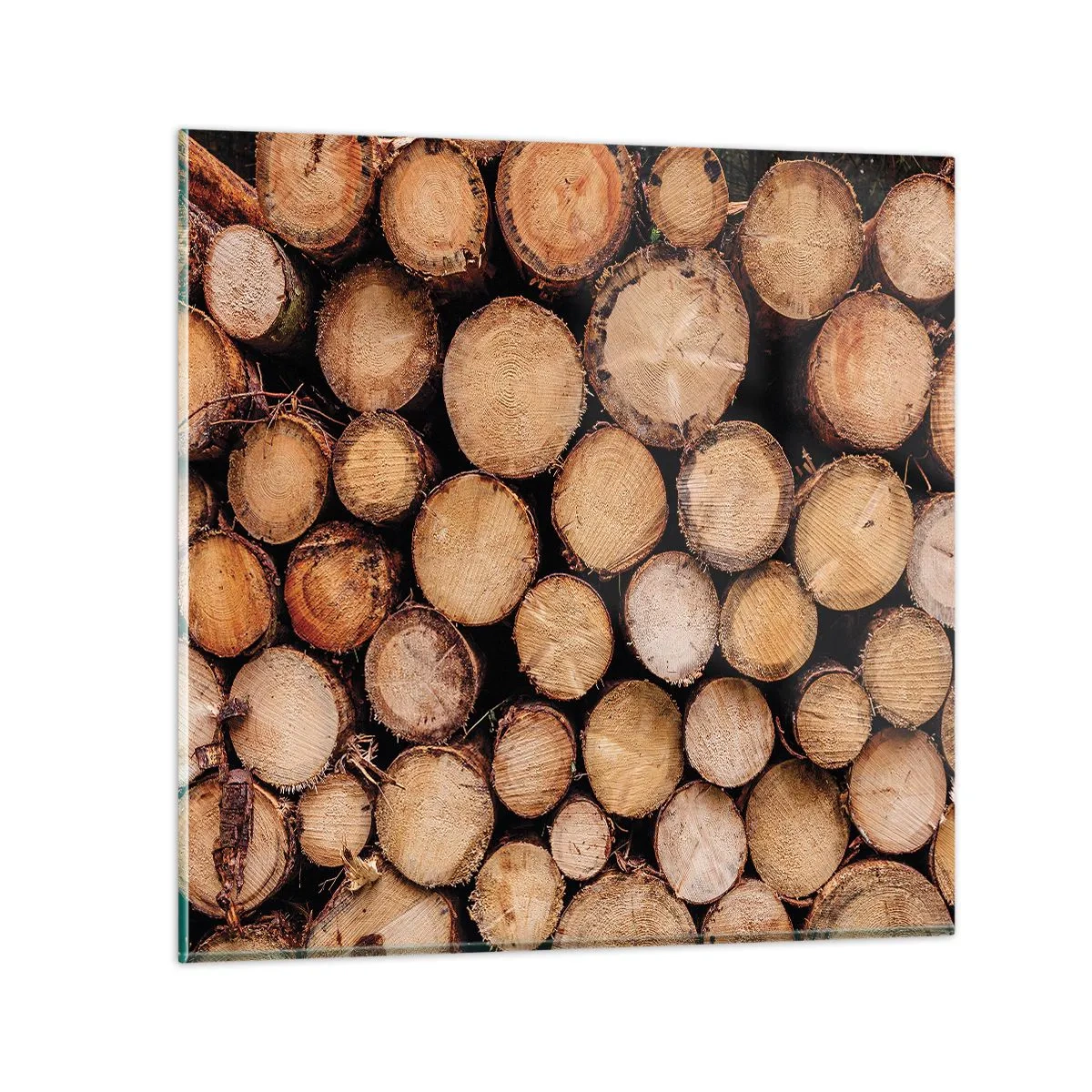 Obraz na skle - Nový začiatok - 60x60 cm