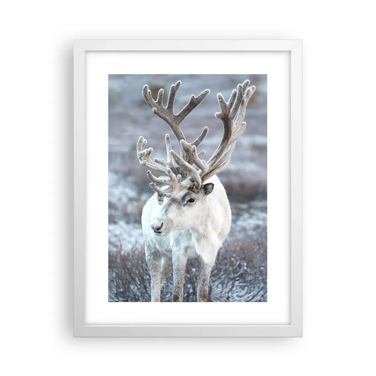 Plagát v bielom ráme - Slnečný portrét - 30x40 cm