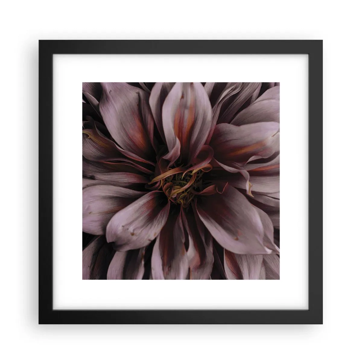 Plagát v čiernom ráme - Kvetinové srdce - 30x30 cm