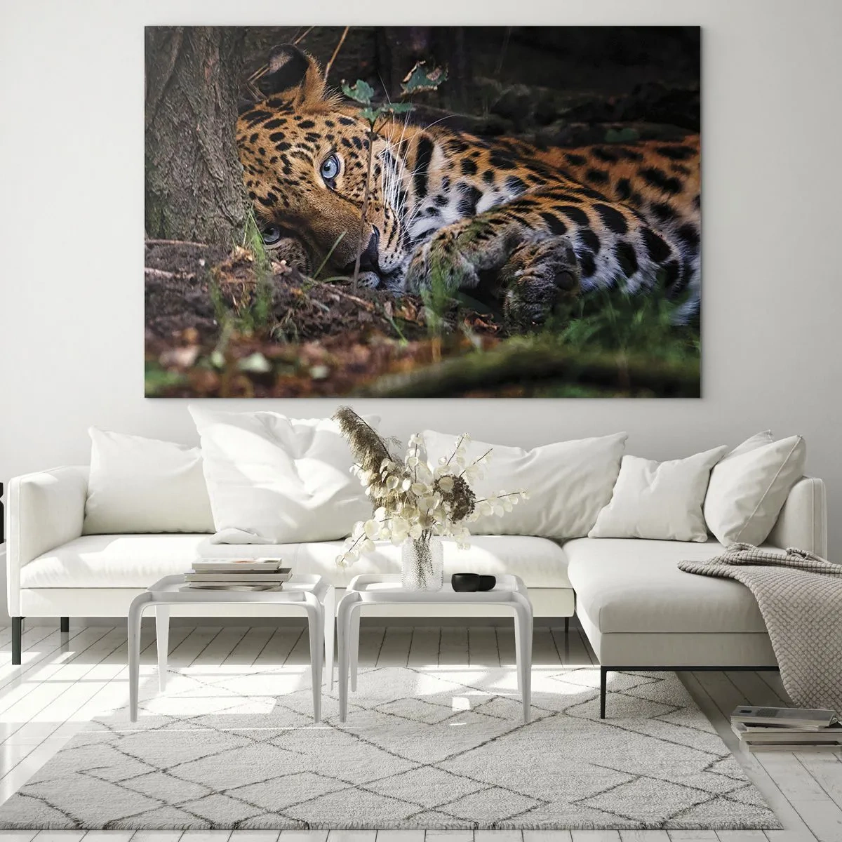Obraz na skle - Jaguár ležiaci na zemi a pokojne hľadiaci do kamery. - 70x50cm - Ver mi - Moderná nástenná dekorácia do obývacej izby a spálne ARTTOR