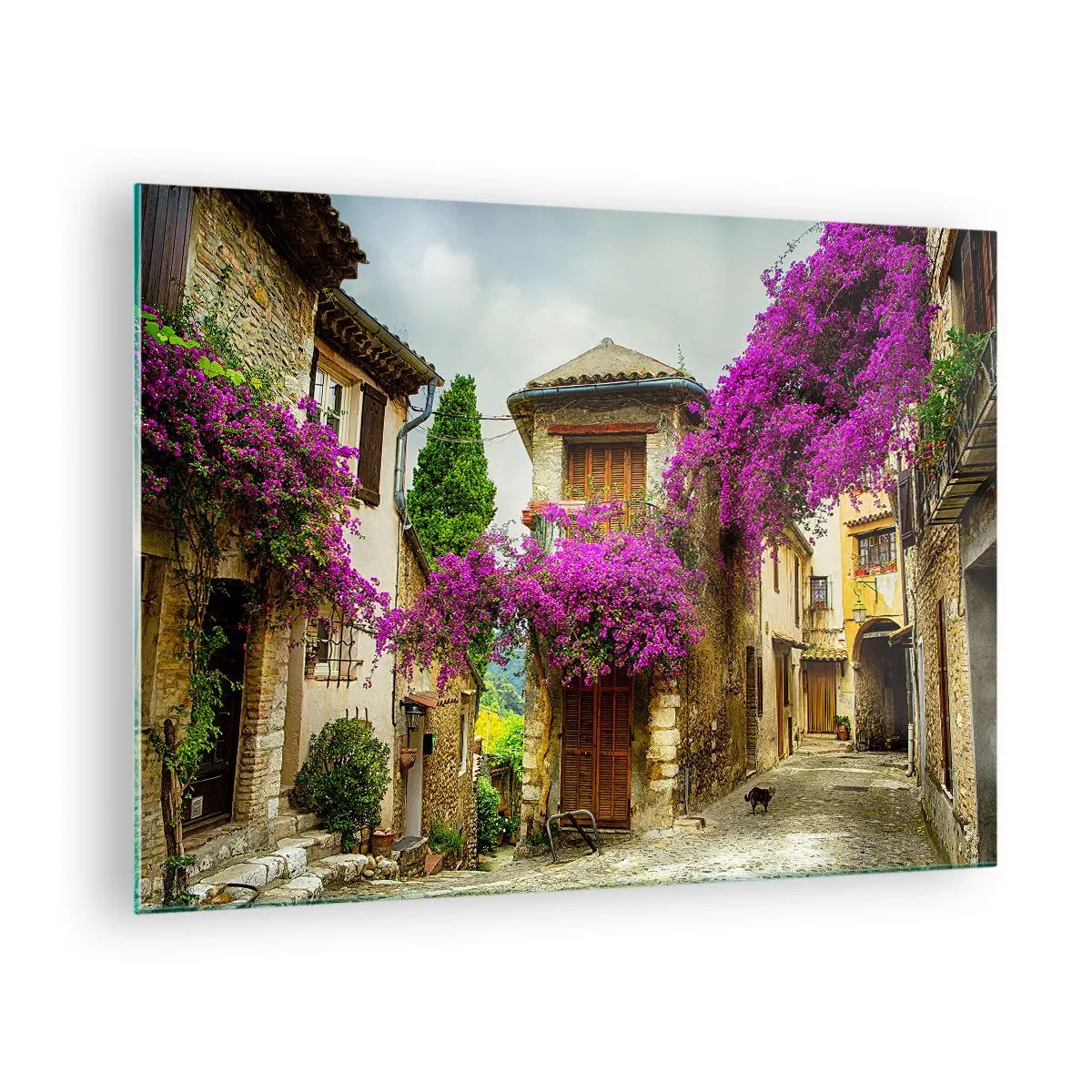 Obraz na skle - Očarujúca ulica s kvitnúcimi ružovými viničmi a činžiakovými domami - 70x50cm - Pod kvetinovým baldachýnom - Moderná nástenná dekorácia do obývacej izby a spálne ARTTOR