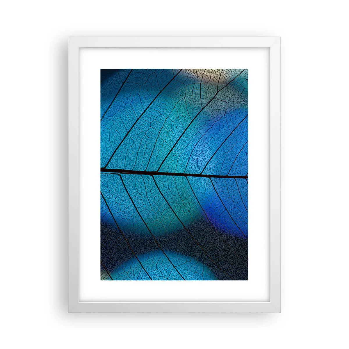 Plagát v bielom ráme - Až do detailov - 30x40 cm