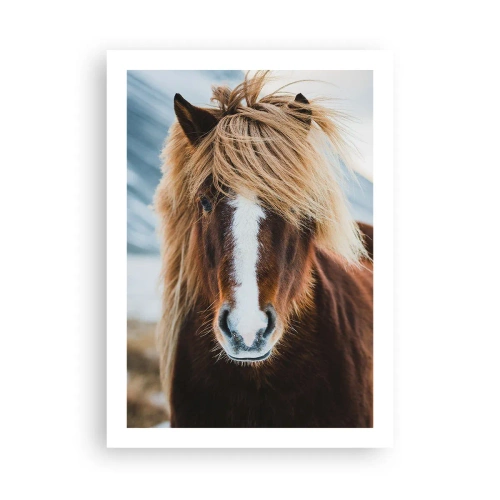 Plagát - Cítiš slobodu? - 50x70 cm