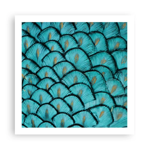 Plagát - Veľká slávnosť peria - 60x60 cm