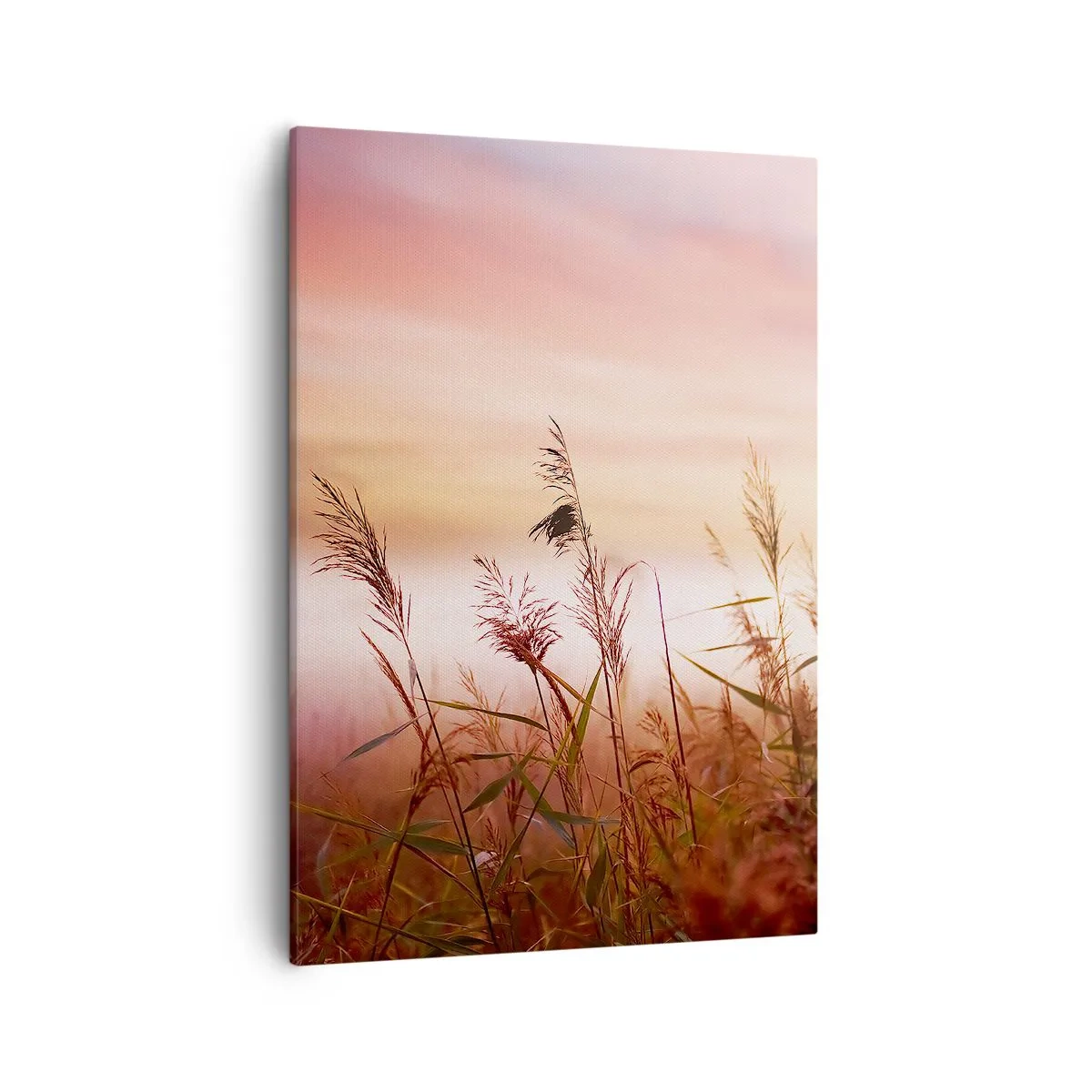 Obraz na plátne - Draci, púpavy a vietor - 50x70 cm