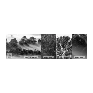 Vzorka samolepiacej fototapety Deluxe Sticker - Prebúdzanie zo spánku - Krajina, les, Hmla - 100x30 cm