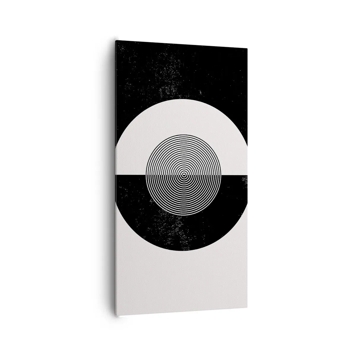 Obraz na plátne - Harmónia v čiernej a bielej - 65x120 cm