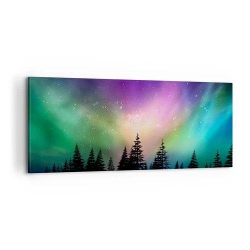 Obraz na plátne - Biela mágia - 100x40 cm
