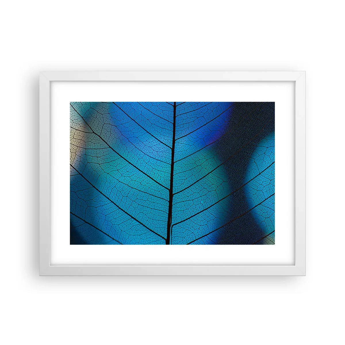 Plagát v bielom ráme - Až do detailov - 40x30 cm