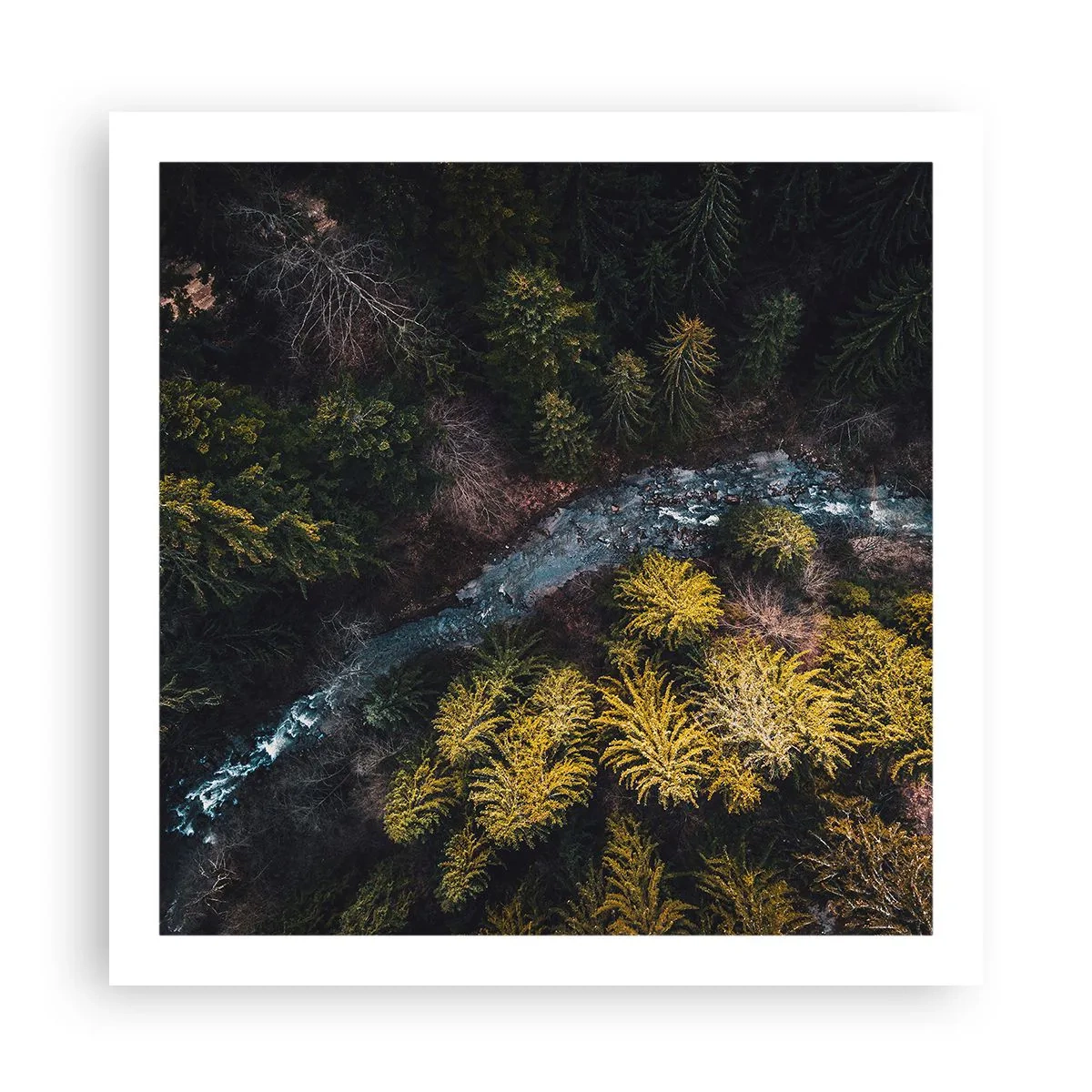 Plagát - Rýchlo, stále rýchlejšie - 60x60 cm