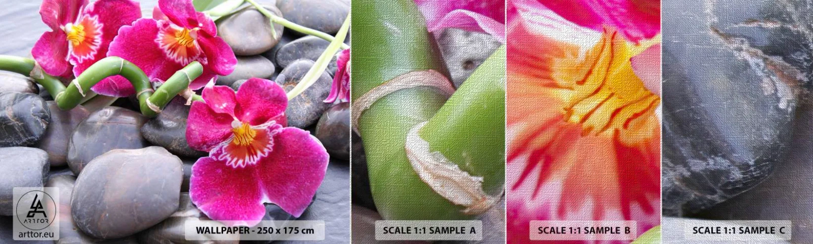 Vzorka fototapety Premium Canvas - Chlad a žiara - Kvety, Kamene, Orchidea - 100x30 cm