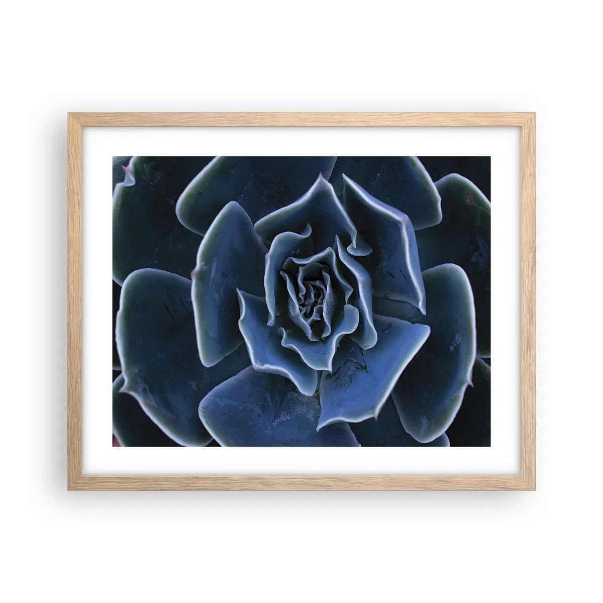 Plagát v ráme zo svetlého duba - Púštny kvet - 50x40 cm