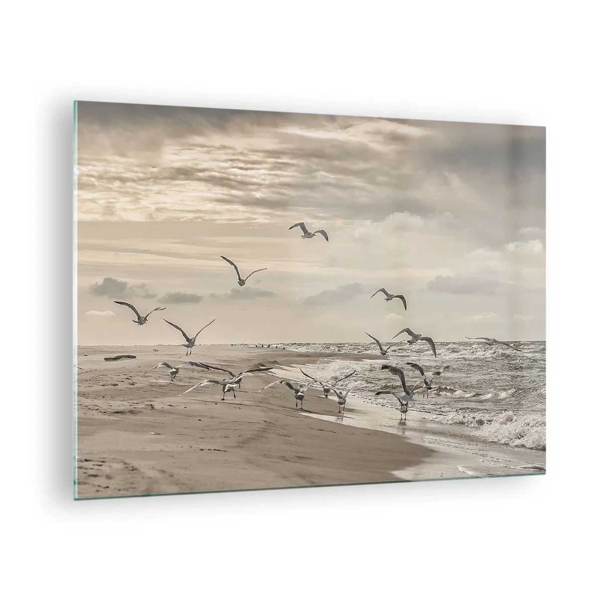 Obraz na skle - Vtáky na pobreží za úsvitu v sépiových tónoch - 70x50cm - Šumenie mora, spev vtákov - Moderná nástenná dekorácia do obývacej izby a spálne ARTTOR