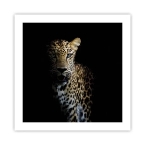 Plagát - Temná krása - 50x50 cm