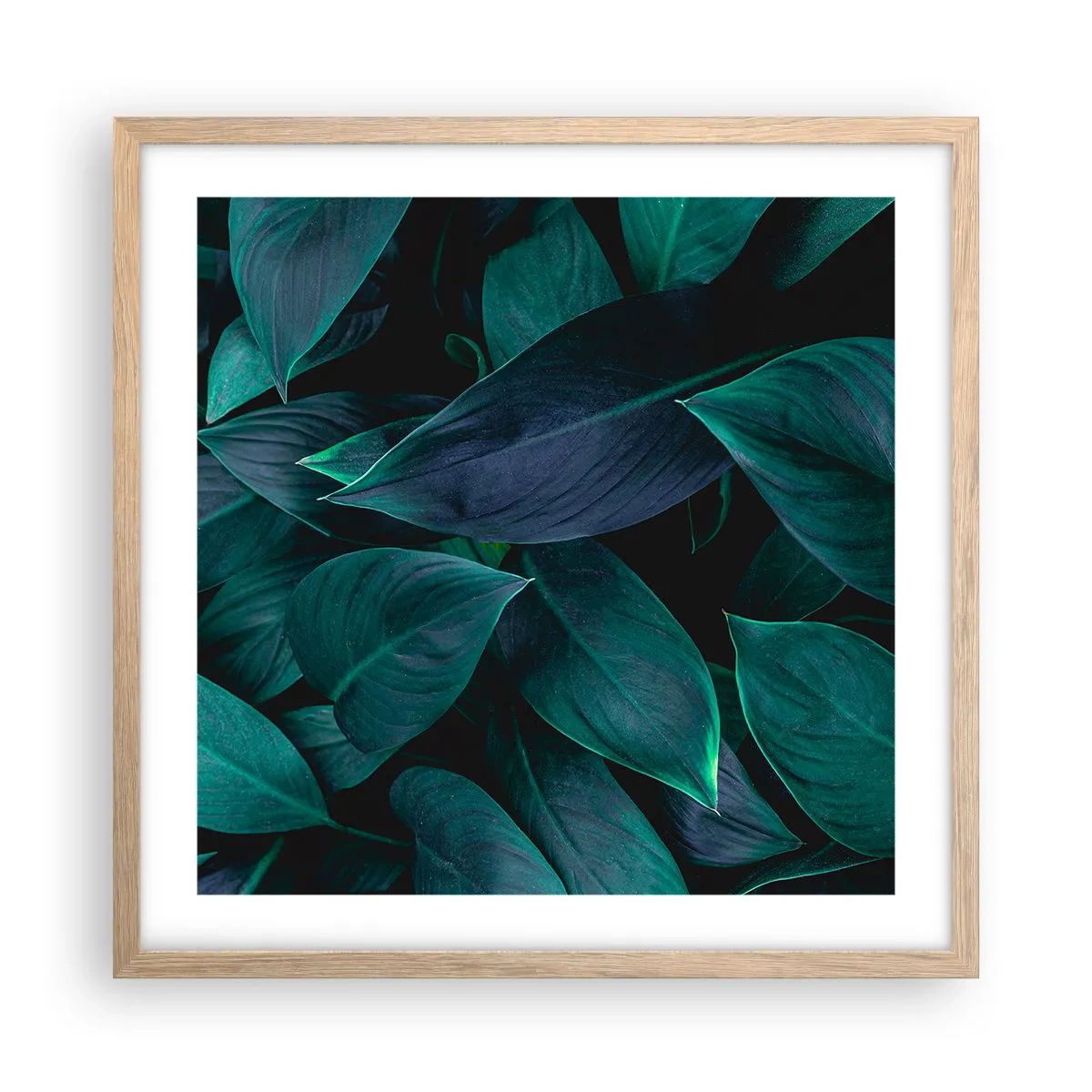 Plagát v ráme zo svetlého duba - Zeleň sama o sebe - 50x50 cm