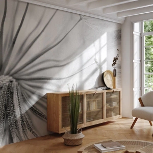 Fototapeta na mieru Premium Canvas - Púpavy - Minimalizmus, Jemné, Kvetina