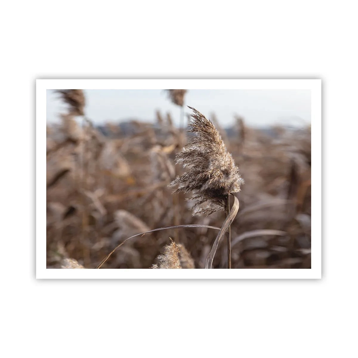 Plagát - Čas odletieť s vetrom - 100x70 cm