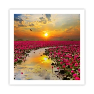 Plagát - Tajomný život jazera - 60x60 cm