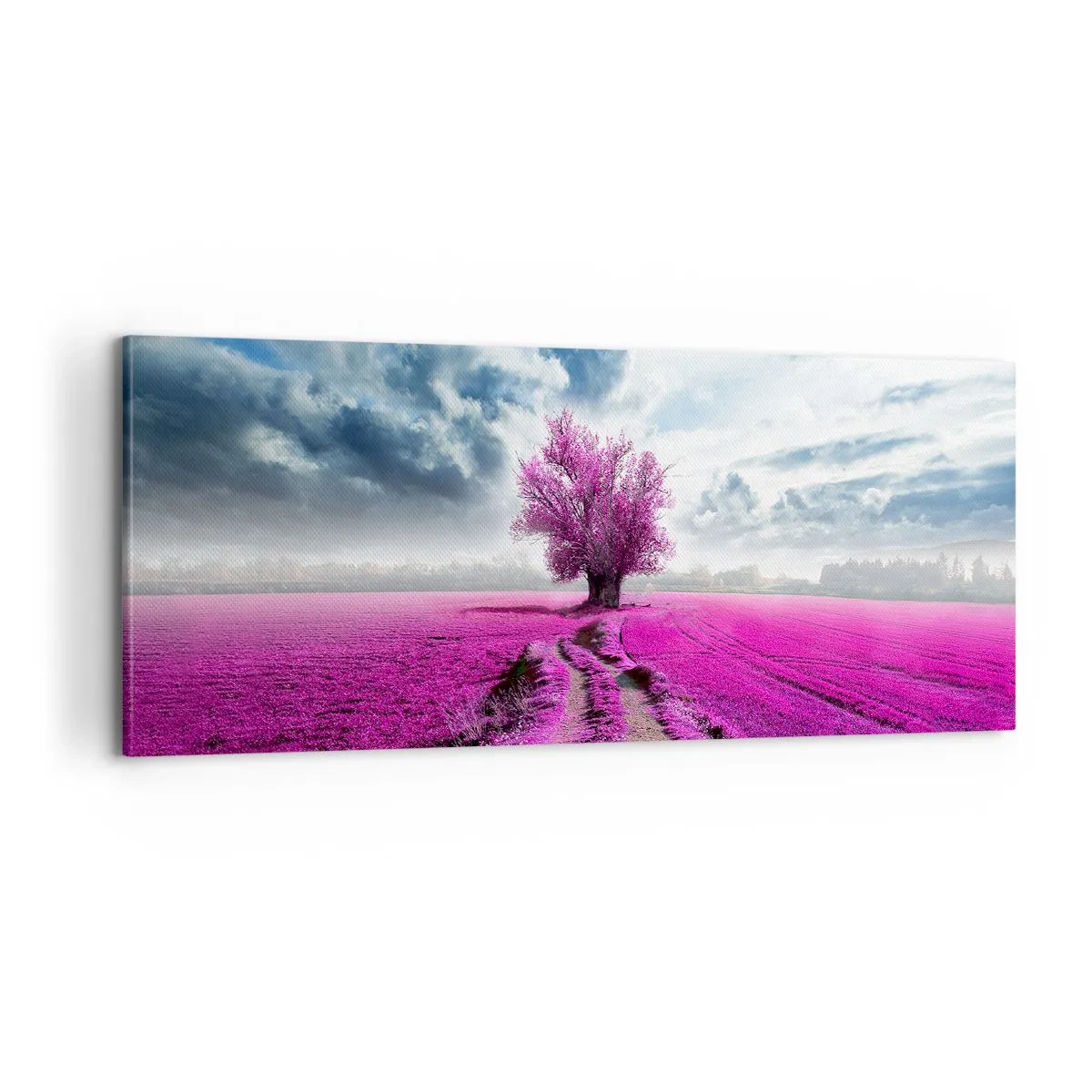 Obraz na plátne - Vresoviská - divočina - 100x40 cm