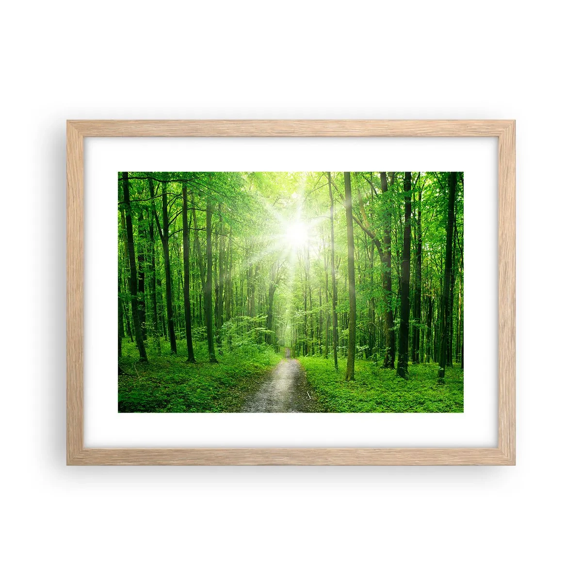 Plagát v ráme zo svetlého duba - Zelená katedrála - 40x30 cm