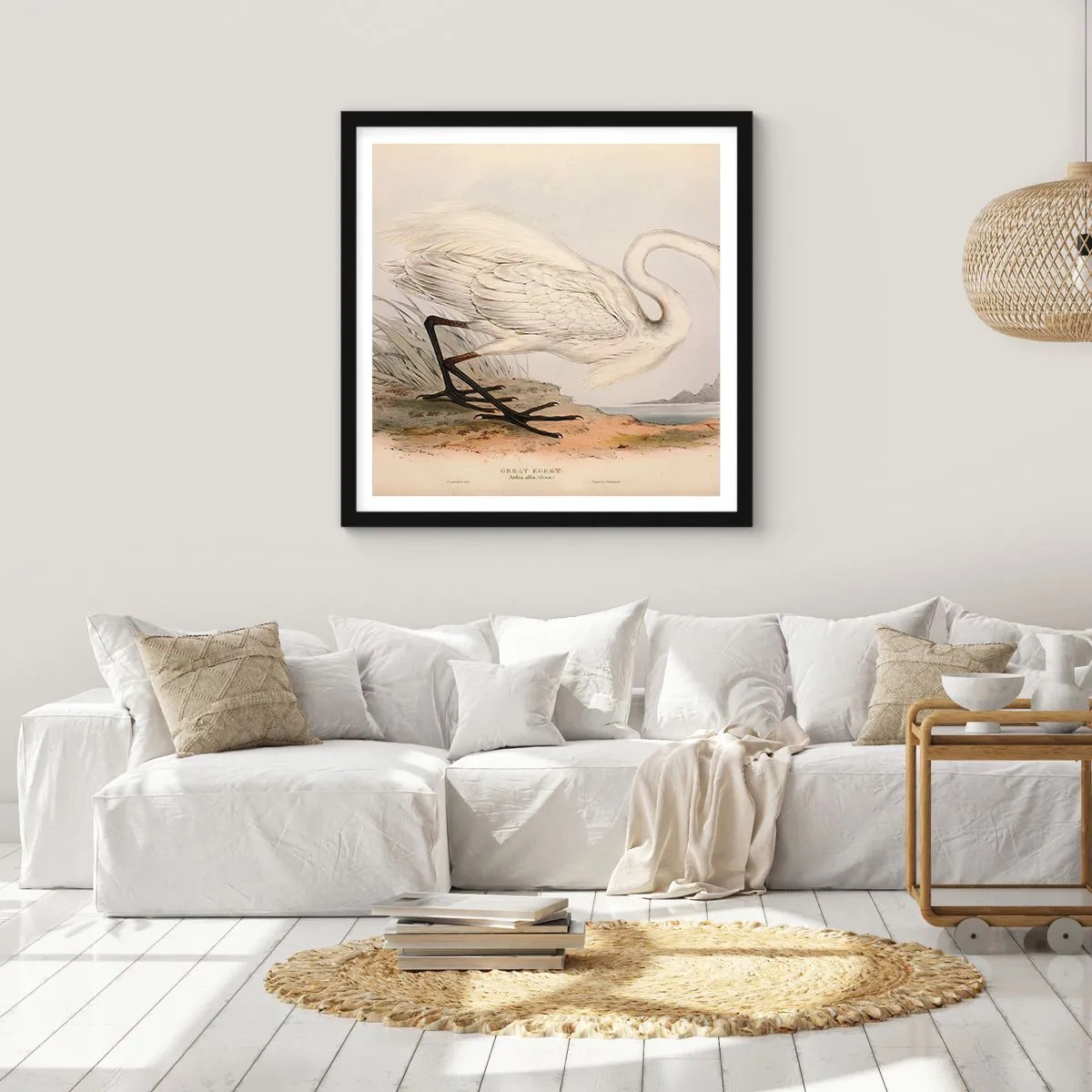 Plagát v čiernom ráme - Pani rákosín - 60x60 cm