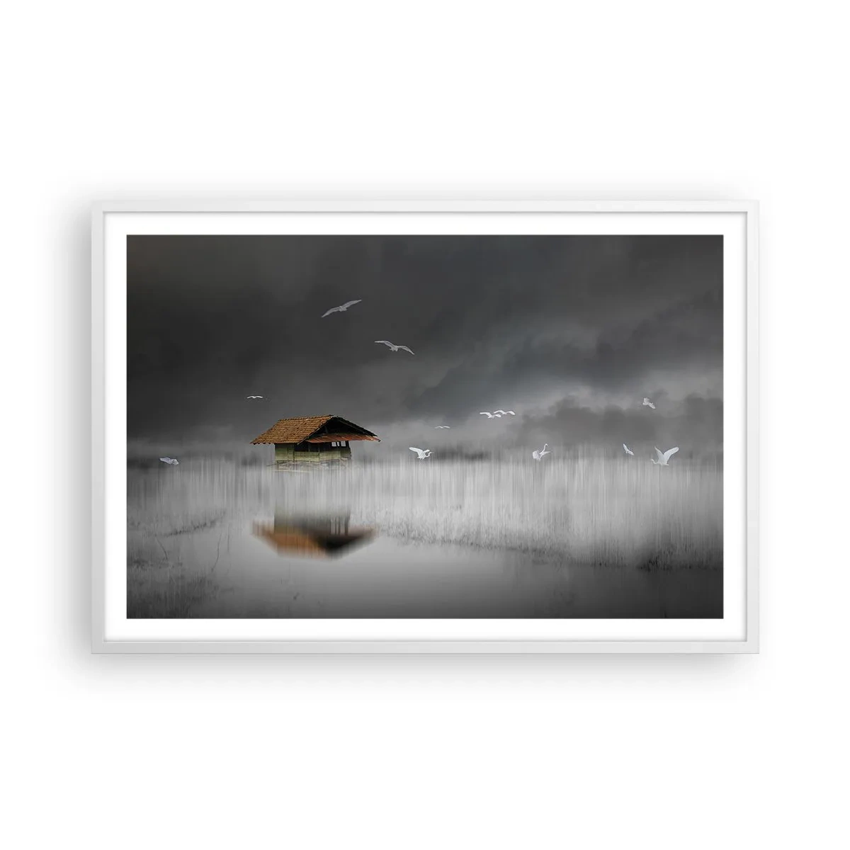 Plagát v bielom ráme - Úkryt pred dažďom - 91x61 cm