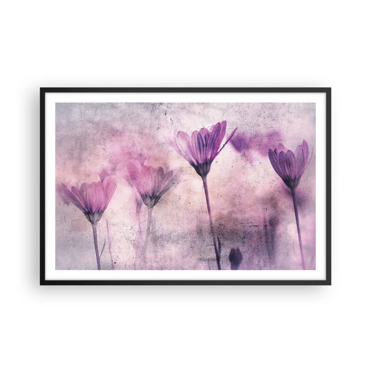 Plagát v čiernom ráme - Sen kvetov - 91x61 cm