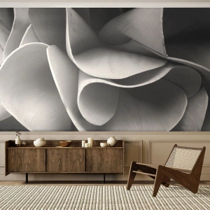 Fototapeta Premium Sand - Deje sa vo vesmíre - Abstrakcia, Kus, Čierna a biela - 300x210 cm