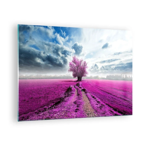 Obraz na skle - Strom vo vresovom poli pod dynamickou oblohou - 70x50cm - Vresoviská - divočina - Moderná nástenná dekorácia do obývacej izby a spálne ARTTOR