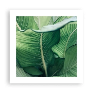 Plagát - Intenzívne zelený život - 40x40 cm