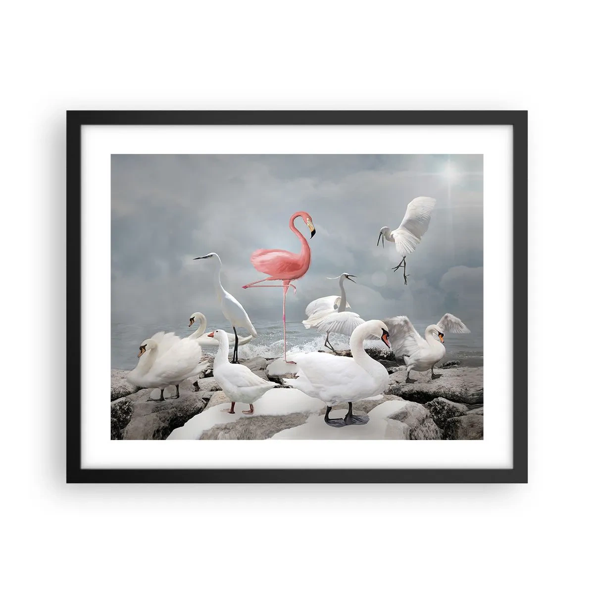 Plagát v čiernom ráme - Kde som sa tu vzal? - 50x40 cm