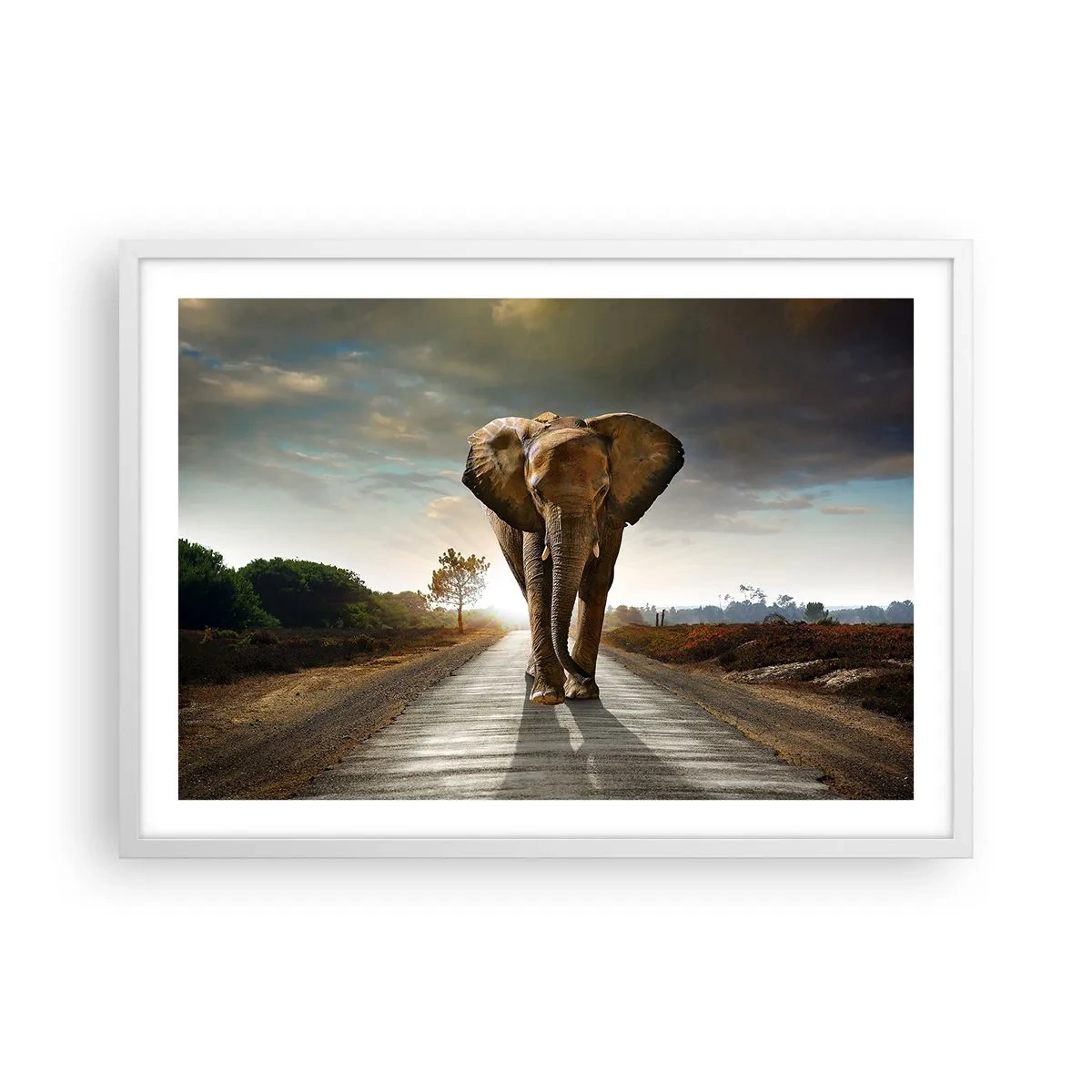 Plagát v bielom ráme - A vôbec nie v sklade porcelánu - 70x50 cm