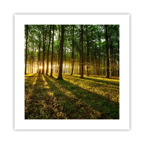 Plagát - Fotografie všetkých jarí - 40x40 cm