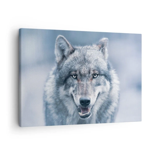 Obraz na plátne - Vlk s intenzívnym pohľadom v zimnej krajine - 70x50cm - Prijmete túto výzvu? - Moderná nástenná dekorácia do obývacej izby a spálne ARTTOR