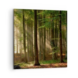 Obraz na plátne - Rozžiarený v jarnom ráne - 60x60 cm