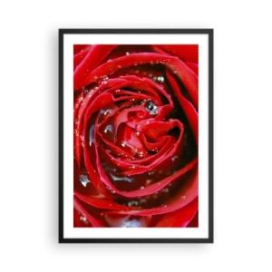 Plagát v čiernom ráme - Detailný záber červenej ruže s kvapkami vody - 50x70cm - V kvapkách rosy - Moderná nástenná dekorácia do obývacej izby a spálne ARTTOR