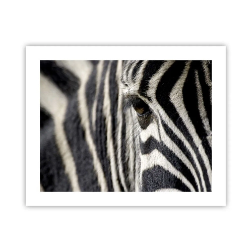 Plagát - Portrét s pruhmi - 50x40 cm