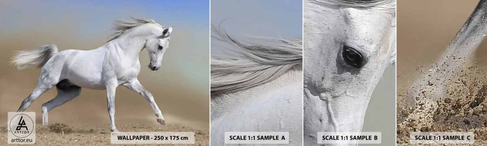 Vzorka Fototapeta Standard Eco - Najkrajšia arabská rozprávka - Kôň, Zvieratá, Cval - 100x30 cm