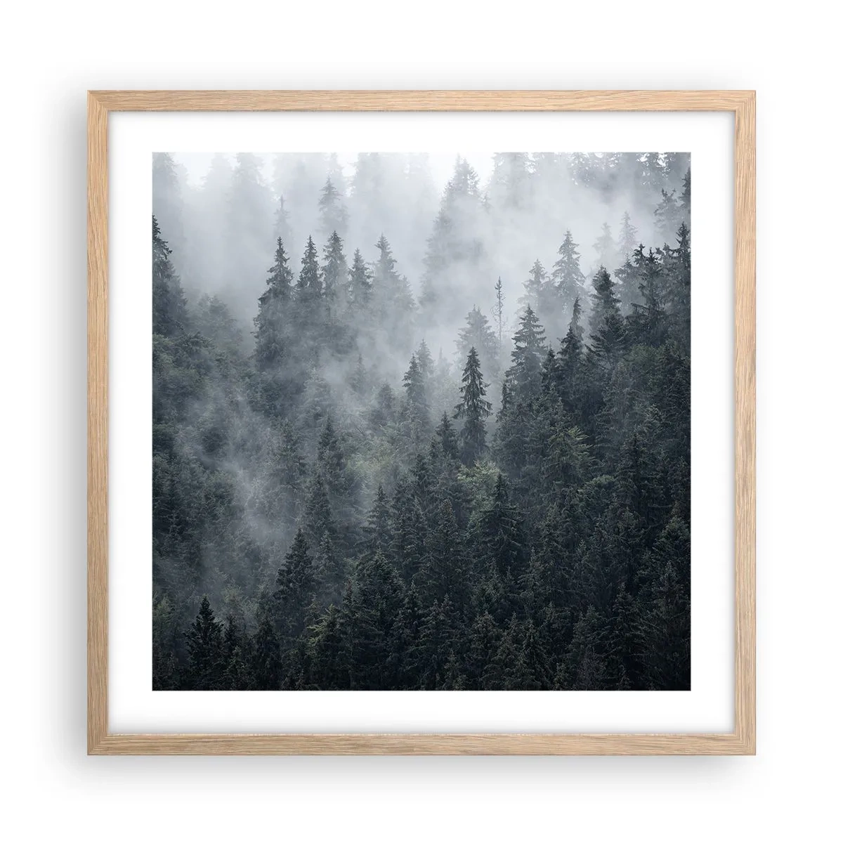 Plagát v ráme zo svetlého duba - Lesné svitania - 50x50 cm