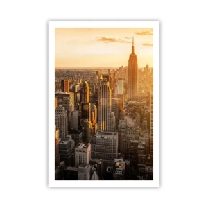 Plagát - Rast na slnku - 61x91 cm