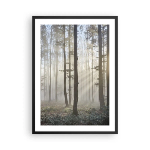 Plagát v čiernom ráme - Hmlisté ráno v lese so slnečnými lúčmi - 50x70cm - Hmla sa tiež zobudila - Moderná nástenná dekorácia do obývacej izby a spálne ARTTOR