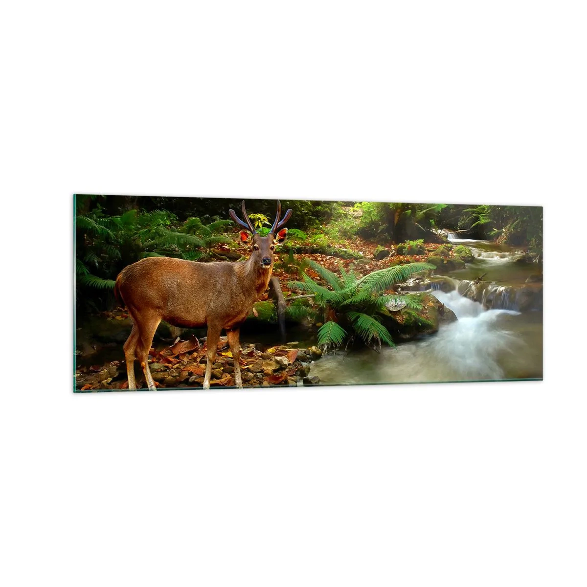 Obraz na skle - Vítajte v mojom svete - 140x50 cm