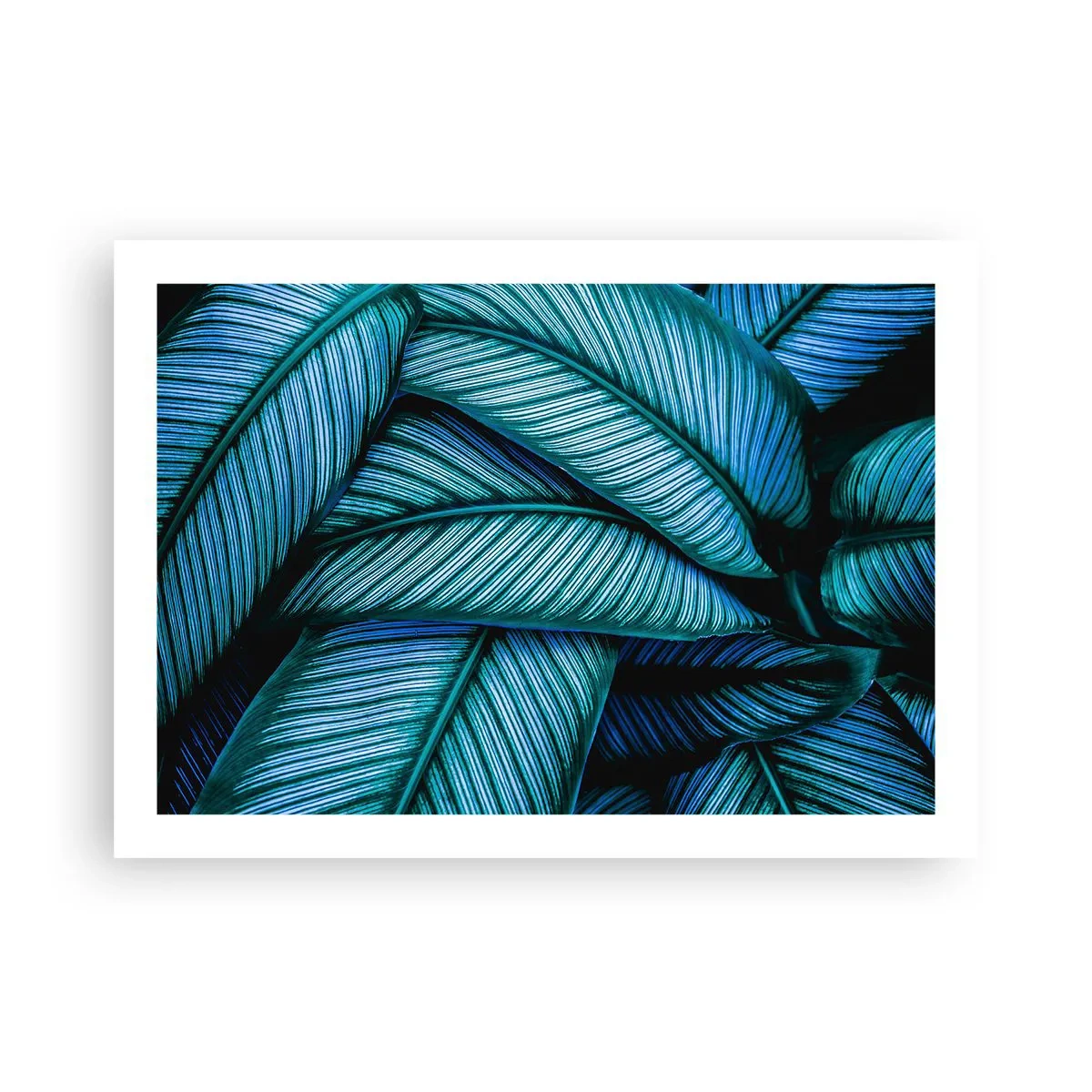 Plagát - Čiary života - 70x50 cm