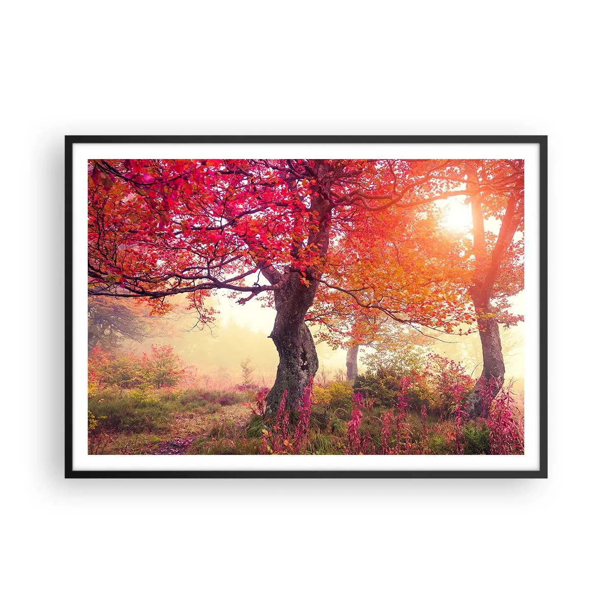Plagát v čiernom ráme - Šialenstvo rozkvetu - 100x70 cm